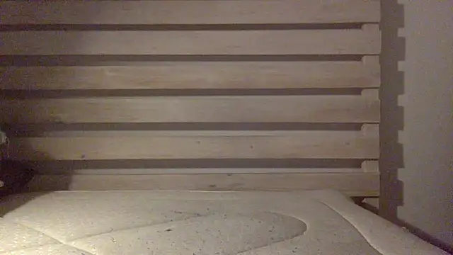 Palinchik online show from February 25, 2026, 2:43 am