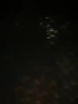 Nika-be online show from March 29, 2026, 6:02 am