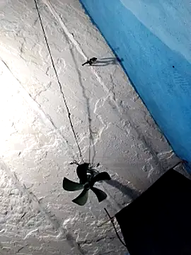 Akanksha soni online show from March 3, 2026, 8:26 pm