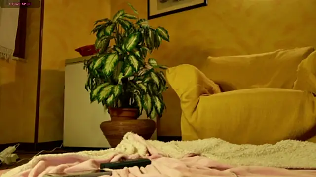 mark ariete online show from February 24, 2026, 6:39 pm