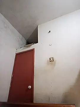 tamilsaisree online show from April 9, 2026, 5:29 pm