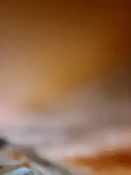 aman4404 online show from January 8, 2026, 5:21 am