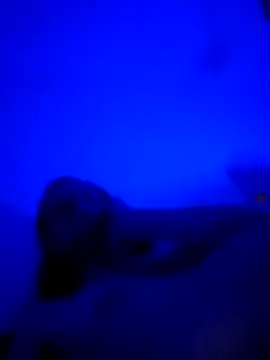 vladopen online show from January 7, 2026, 5:21 am