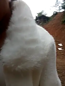 Snapshot of Girl_cutee chatting on February 1, 2026, 9:19 am Girl cutee online show from February 1, 2026, 9:19 am