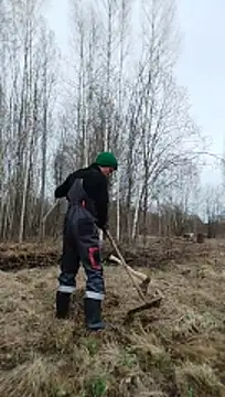 meoakee online show from April 23, 2026, 11:42 am