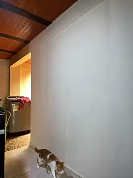 Noxveeltt online show from April 1, 2026, 6:16 pm