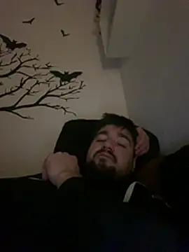 LienalWarplane online show from February 26, 2026, 1:59 am