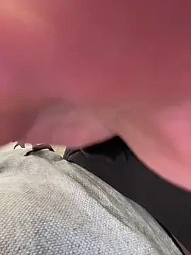 LienalWarplane online show from March 9, 2026, 12:20 pm