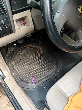 PIGHIGHDIRTY p0 online show from February 20, 2026, 9:04 pm