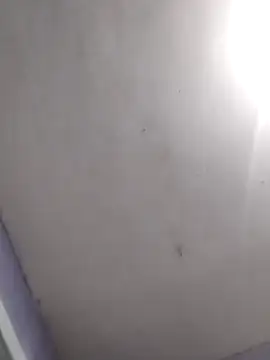 vanNe78 online show from February 28, 2026, 8:10 pm