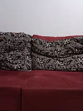 Novin br1 online show from June 8, 2026, 11:10 am