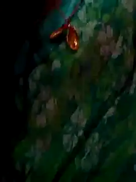 ramya sri online show from February 2, 2026, 9:30 am