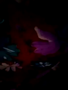 ramya sri online show from February 21, 2026, 9:21 am