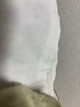 maonyan6 online show from February 13, 2026, 9:27 am