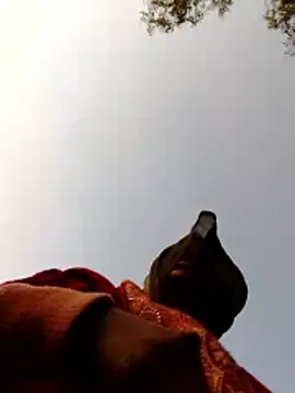 Snapshot of Jyoti_sekh chatting on February 10, 2026, 2:04 am Jyoti sekh online show from February 10, 2026, 2:04 am