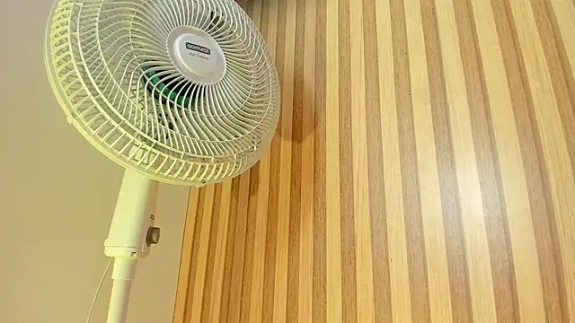 emily velvet   online show from April 20, 2026, 6:09 pm