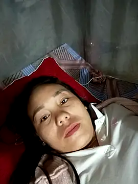 Snapshot of vanvan005 chatting on March 4, 2026, 12:49 am vanvan005 online show from March 4, 2026, 12:49 am