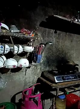 Snapshot of vanvan005 chatting on March 9, 2026, 11:36 am vanvan005 online show from March 9, 2026, 11:36 am