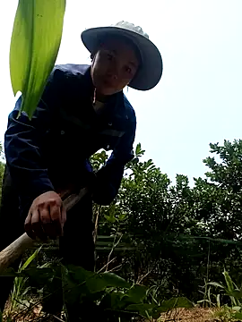 Snapshot of vanvan005 chatting on April 8, 2026, 3:17 am vanvan005 online show from April 8, 2026, 3:17 am