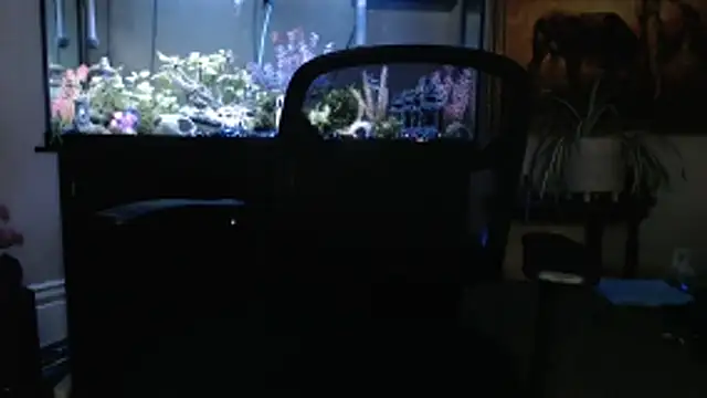 Snapshot of EspanolVato chatting on March 5, 2026, 11:45 pm EspanolVato online show from March 5, 2026, 11:45 pm