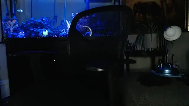 Snapshot of EspanolVato chatting on March 18, 2026, 9:12 am EspanolVato online show from March 18, 2026, 9:12 am