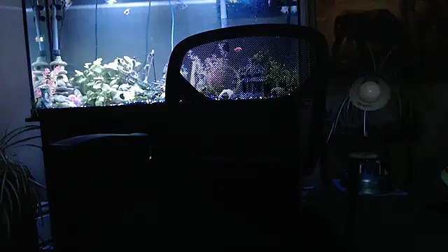 Snapshot of EspanolVato chatting on March 26, 2026, 12:06 am EspanolVato online show from March 26, 2026, 12:06 am