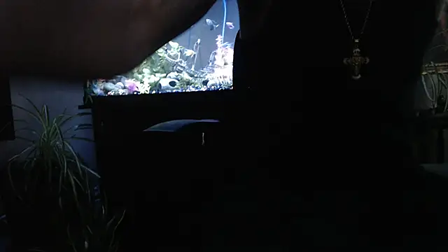 Snapshot of EspanolVato chatting on April 2, 2026, 11:46 pm EspanolVato online show from April 2, 2026, 11:46 pm