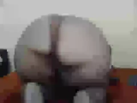 dalukuthula5832 online show from April 3, 2026, 4:54 am