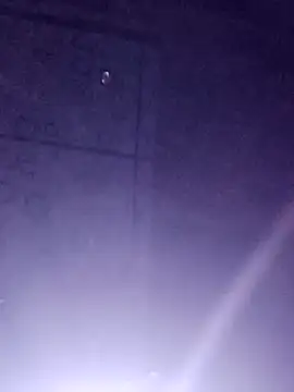 Sana-vn online show from March 14, 2026, 2:44 pm