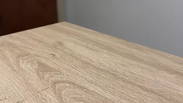 adelaide2026 online show from February 28, 2026, 12:17 pm