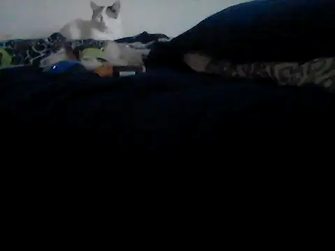 Silencio26 online show from February 24, 2026, 9:24 pm