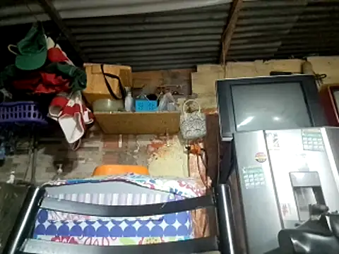 Snapshot of kitty_pi chatting on February 8, 2026, 2:48 am kitty pi online show from February 8, 2026, 2:48 am