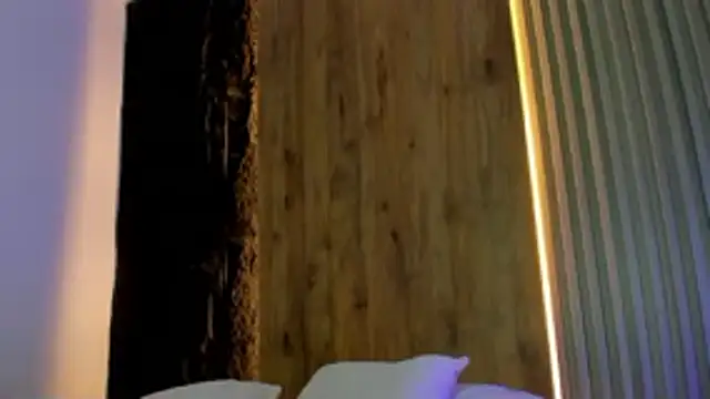 Snapshot of bella_fernand chatting on April 25, 2026, 2:14 am bella fernand online show from April 25, 2026, 2:14 am