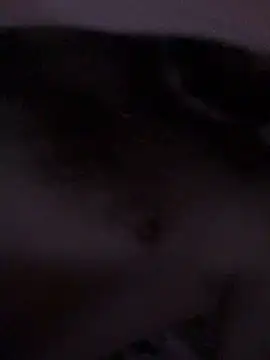 Di717 online show from March 23, 2026, 9:30 pm