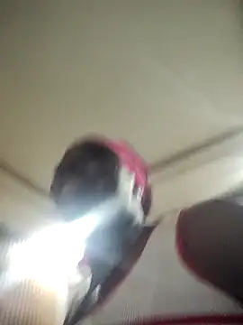 EngelSmith  online show from February 5, 2026, 12:21 pm