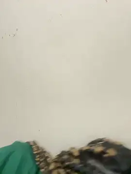 diosa sofia19 online show from April 6, 2026, 2:31 am