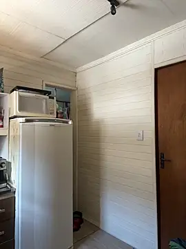 dogfrota online show from March 6, 2026, 2:46 pm