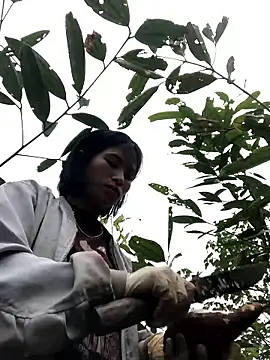 sun-shii online show from January 14, 2026, 1:55 am