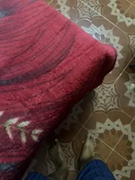 tropicalpied online show from March 23, 2026, 1:59 pm