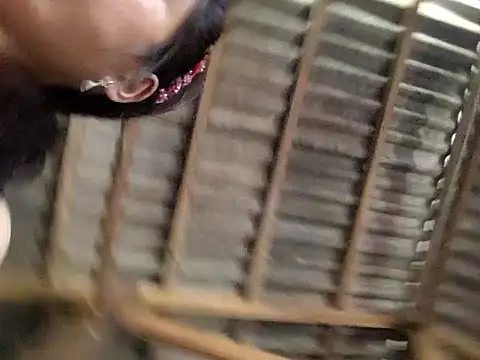 miumiu sexy2x online show from April 6, 2026, 6:25 am