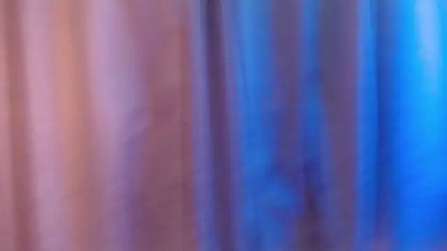 Snapshot of Dafne-art chatting on February 12, 2026, 1:50 pm Dafne-art online show from February 12, 2026, 1:50 pm