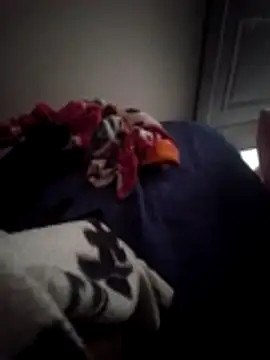 Cz Drax online show from February 18, 2026, 2:24 pm