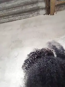 Snapshot of vaniyna chatting on February 22, 2026, 10:58 am vaniyna online show from February 22, 2026, 10:58 am