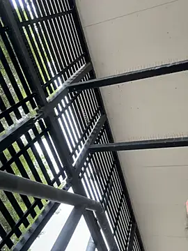 Snapshot of tyd247 chatting on March 10, 2026, 4:17 am tyd247 online show from March 10, 2026, 4:17 am