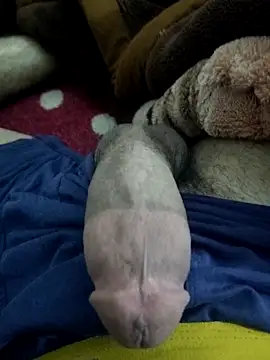 Snapshot of amirMohamed58 chatting on February 23, 2026, 9:23 pm amirMohamed58 online show from February 23, 2026, 9:23 pm