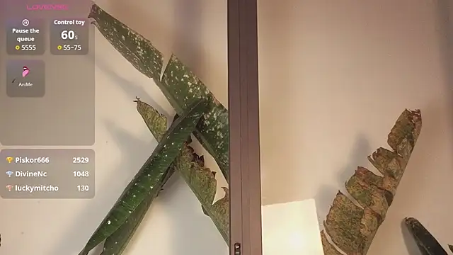 came-a-lot online show from February 22, 2026, 8:18 pm