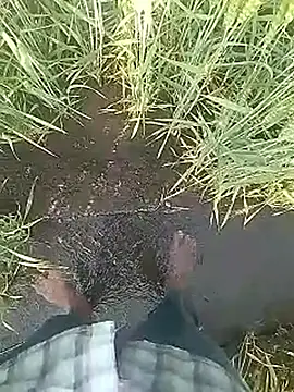 Cute Boy 4 online show from February 10, 2026, 3:21 am