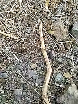 Cute Boy 4 online show from April 8, 2026, 7:30 am