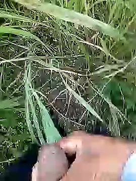 Cute Boy 4 online show from April 11, 2026, 2:38 am