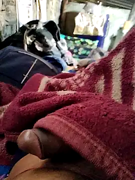 Snapshot of crazyxy12 chatting on February 7, 2026, 6:17 am crazyxy12 online show from February 7, 2026, 6:17 am